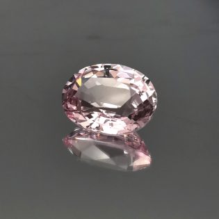 Spinello rosa - immagine 3