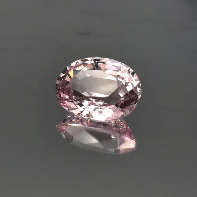 Spinello rosa - immagine 3