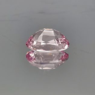 Spinello rosa - immagine 4