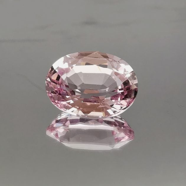 Spinello rosa - immagine 2